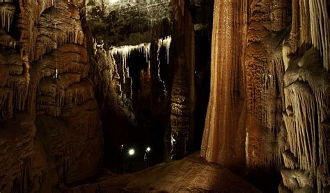 The underground world of spiders - Australian Geographic