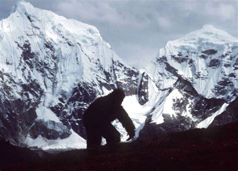 ¿se Ha Resuelto El Misterio Del Yeti Publimetro Perú