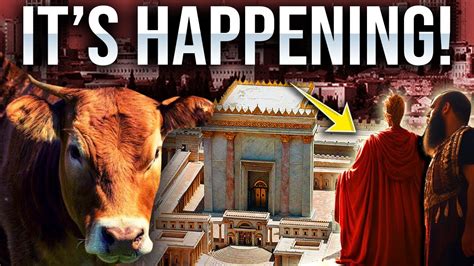 Unveiling The Antichrist The Red Heifer Third Temple And Prophecies