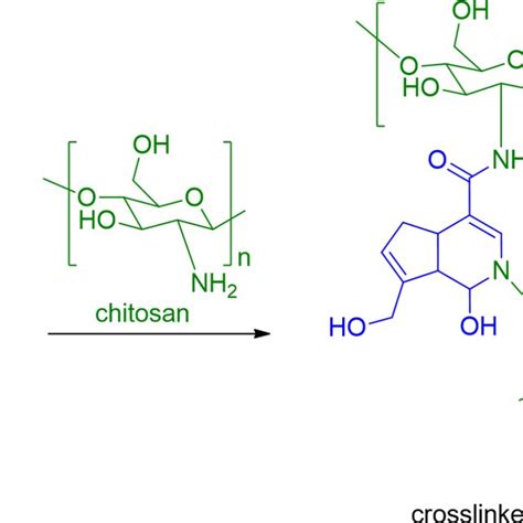 Chitosan Crosslinking With Genipin Download Scientific Diagram