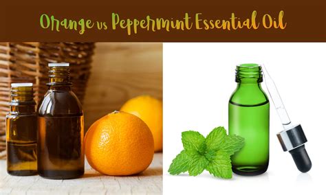 Orange vs Peppermint Oil: The Ultimate Verdict - The Coconut Mama