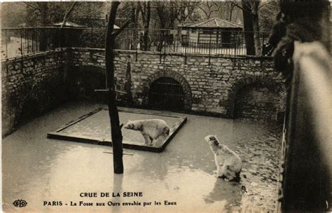 Paris La Fosse aux Ours envahie par les eaux Inondations 1910 à Paris