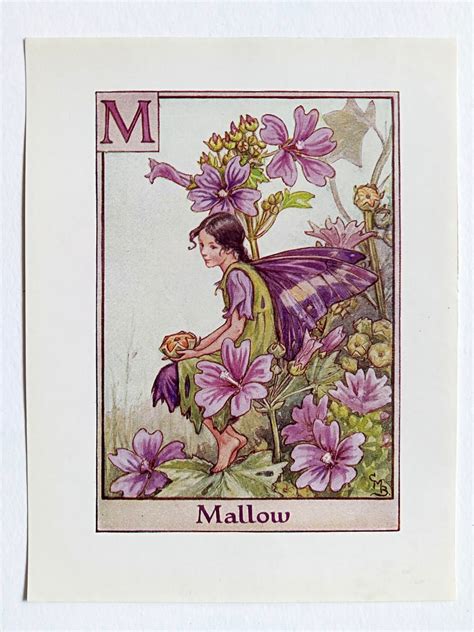 Mallow Flower Fairy Print Flower Fairy Prints