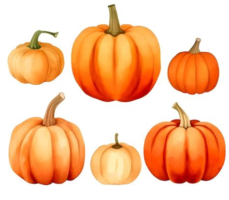 Arte De Calabaza Acuarela Vector Premium