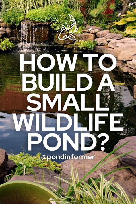 How To Build A Small Wildlife Pond Cheap And Easy Diy Ponds