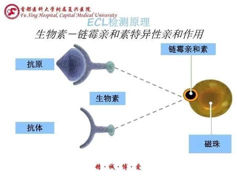 工艺管理：pct检测原理和溯源性 知乎