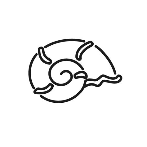 Conch Shell Vector Icon In Line Style 27424458 Vector Art At Vecteezy