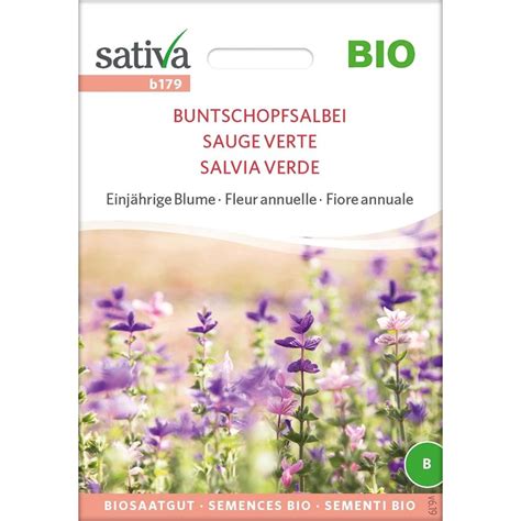 Sativa Bio Einjährige Blume Buntschopfsalbei 1 Packung Bloomling