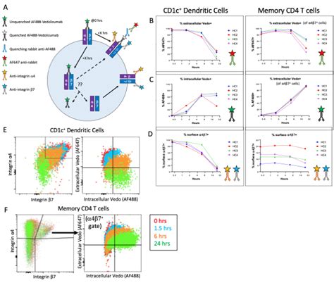 Effect of Vedolizumab on Immune Cells | Benaroya Research Institute