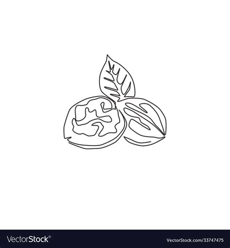 Single Continuous Line Drawing Whole Healthy Vector Image