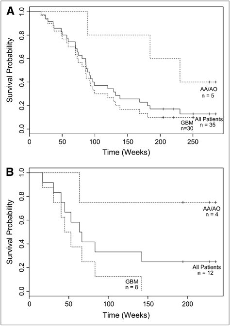 Kaplan Meier Overall Survival Estimates For Newly Diagnosed Patients