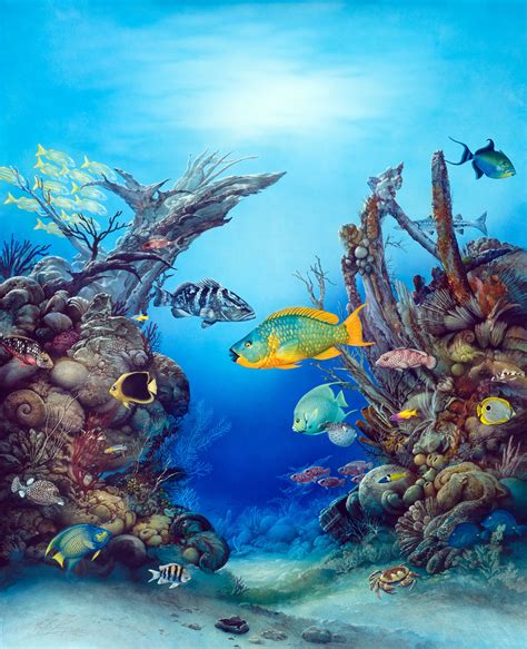 Caribbean Fish Röhrigart