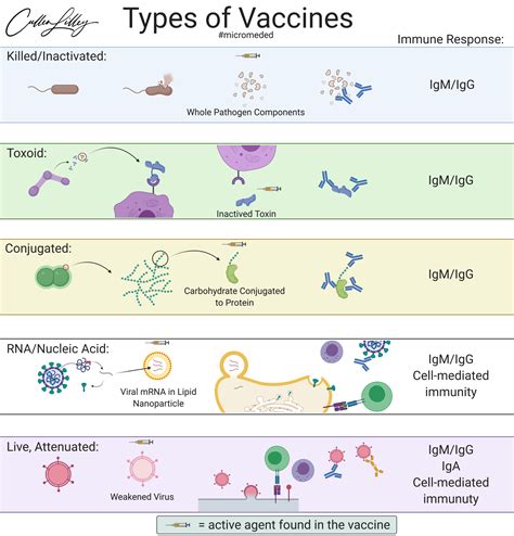 Types Of Vaccines PathElective