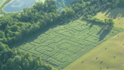 Four Green Fields Farm | Michigan