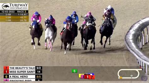 Turfway Park Race Replays Youtube