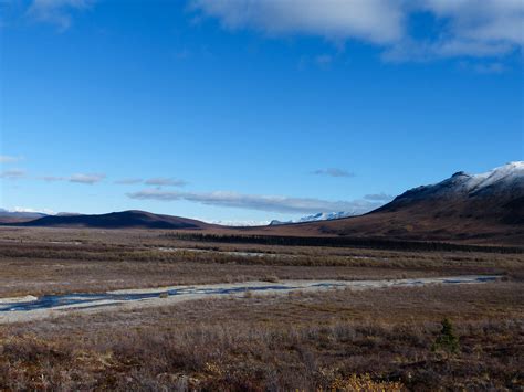 Peninsula Brown Bear Guided Wilderness Hunts Alaska Peninsula — Alaska ...