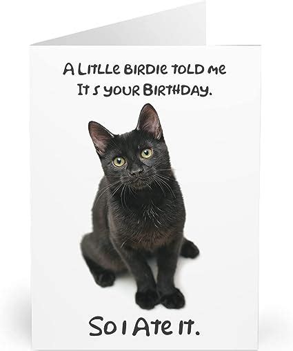 Humorous Black Cat Birthday Card A Little Birdie Told Me Joke Perfect For Cat Lovers