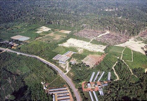 Parcours Les Fronts Pionniers De Nouveaux Espaces De Peuplement