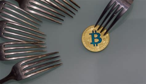 Crypto Hard Fork and Soft Fork - What Is the Difference? - The European ...