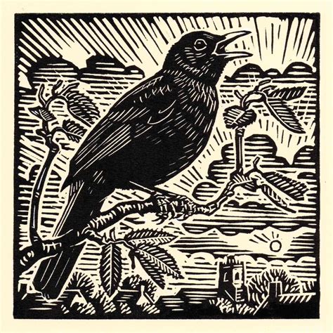 Blackbird Woodcut Art Linocut Prints Scratchboard Art