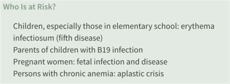 Parvovirus B19 Naked DNA Viruses Flashcards Quizlet