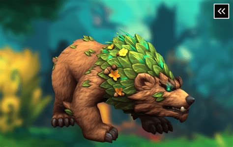 Wow Druid Form Boost Service Buy Druid Customization