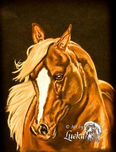 Pastels Western And Equine Art By Lucka