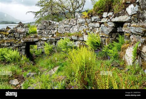 Ruin Walls Of Totaig Broch Caisteal Grugaig An Ancient Scottish Iron
