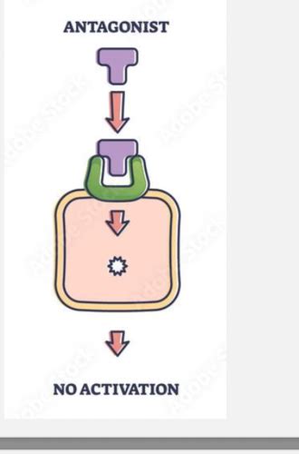 Bio Of Sex Quiz 5 Flashcards Quizlet