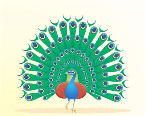 Illustration With Stylized Ornamental Peacock Stock Vector