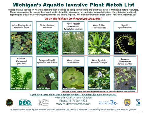 PLM News: Plant Watch List | PLM Lake and Land Management Corp.