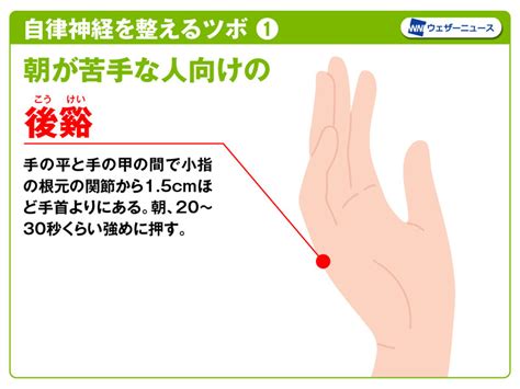 自律神経 副交感 ツボ Expansionsuppo