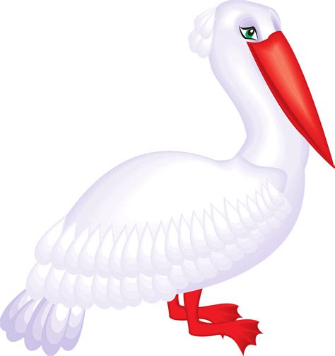 Free Pelican Vector Art Download 40 Pelican Icons And Graphics Pixabay