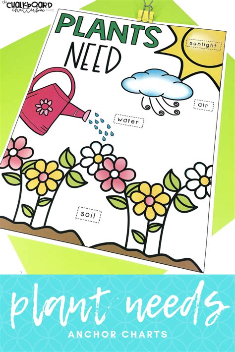 Parts Of A Plant And Plant Life Cycle Anchor Charts First And Second Plants Anchor Charts