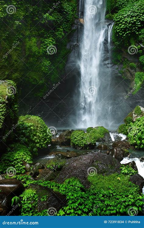 Paradise Waterfall, Bali. Nature Beauty Landscape Background Stock ...