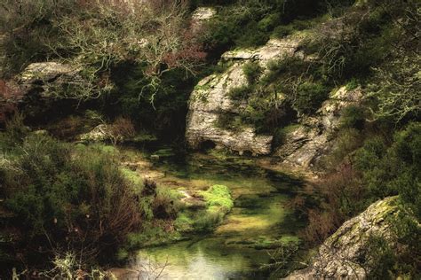 Images Gratuites paysage arbre la nature Roche région sauvage