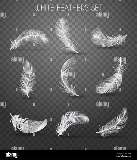 Realistic Feather Transparent Set With White Feathers Set Headline Soft