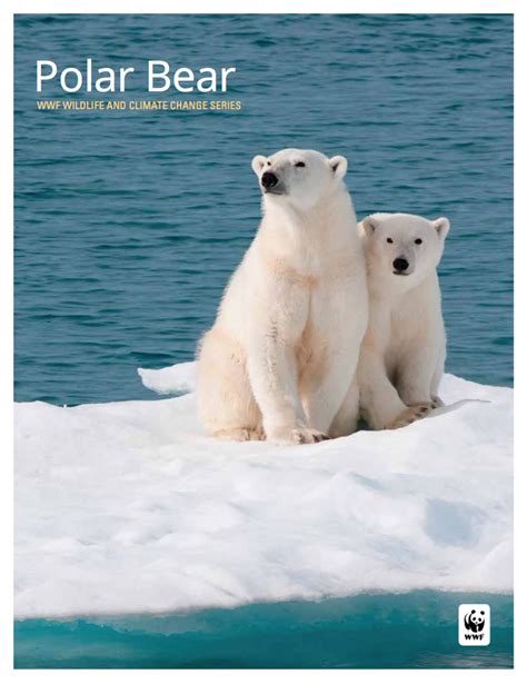 Wwf Polar Bear Poster - bombjrgpx