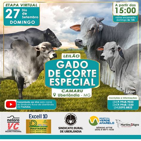 Leil O Gado De Corte Especial Acontece Neste Domingo No Camaru