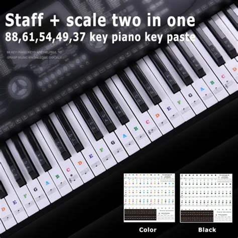 PIANO STICKER KEYBOARD Music Note Chart Removable Decal 49 37 54 61 Or