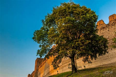 Cittadella walls from the river, Italy