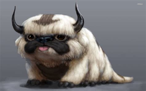 Appa Avatar The Last Airbender Anime Hd Wallpaper Pxfuel