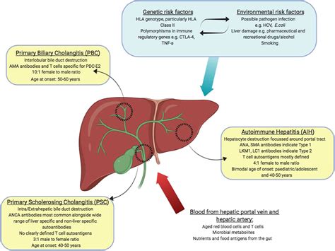 Frontiers Antigen Specific Immunotherapy For Treatment Of Autoimmune