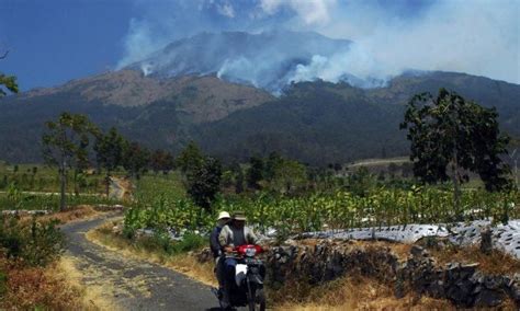 Kebakaran Di Lereng Gunung Sumbing Semua Jalur Pendakian Ditutup