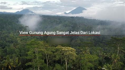 Jual Tanah Murah View Gunung Lembah Dan Sungai Diubud Utara