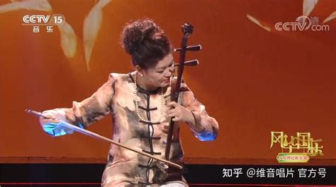 晏敏敏作曲刘子维激情演奏《盛极》再次荣登央视风华国乐 知乎