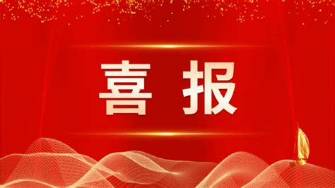 【聚力“四年活动” 建设教育名区】经二路小学师生在省小学生趣味编程专项活动中获奖 发展 一等奖 同学