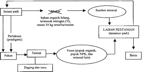 Kecernaan Ransum Berbasis Jerami Padi Yang Diberi Tepung Daun Murbei