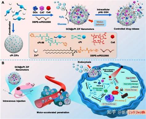 基于前药骨架的mof构筑酶驱动纳米马达用于增强肿瘤联合治疗 知乎