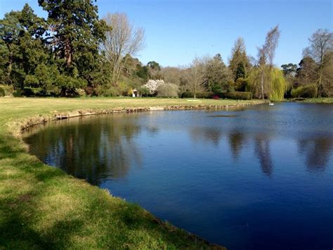 bolwick hall norfolk wwwellenmarygardeningcouk